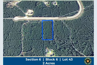 11855 Moss Grove Court, Willis, TX 77378 - Photo 1