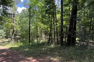 415 Rio Vista Dr, Livingston, TX 77352 - Photo 1
