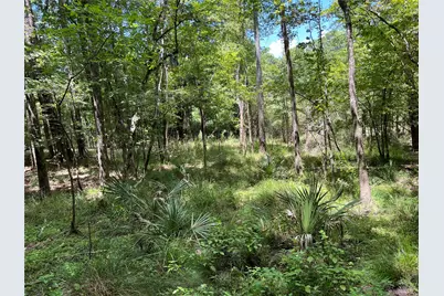 415 Rio Vista Drive, Livingston, TX 77352 - Photo 5