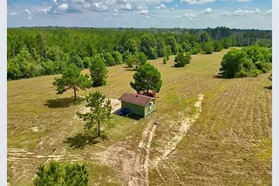 81363 George Sanner Rd, Village Mills, TX 77663 - Photo 13