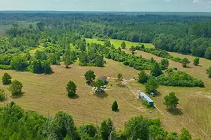 81363 George Sanner Rd, Village Mills, TX 77663 - Photo 1