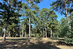 5 3 Ac Tbd Spring Branch Rd, Montgomery, TX 77316 - Photo 1