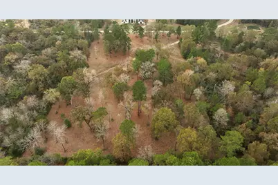 5.3 Ac Tbd Spring Branch Rd, Montgomery, TX 77316 - Photo 11