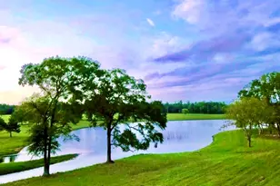 12050 High Br Wy, Willis, TX 77378 - Photo 5