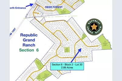 12050 High Branch Way, Willis, TX 77378 - Photo 9