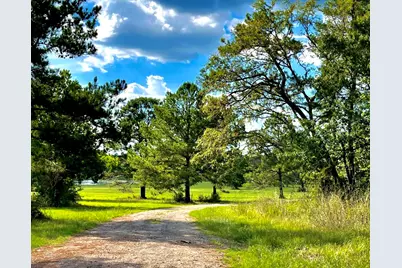 12050 High Branch Way, Willis, TX 77378 - Photo 3
