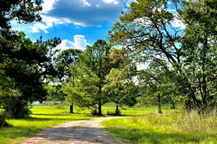 12050 High Br Wy, Willis, TX 77378 - Photo 3