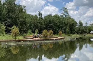 2221 Marnel Rd, Houston, TX 77055 - Photo 37