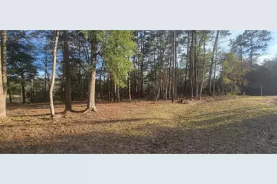 250 Wood Haven, Livingston, TX 77351 - Photo 3