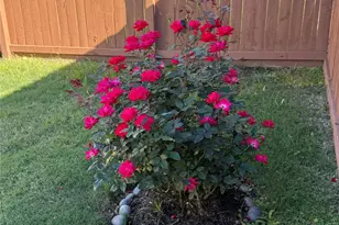 215 Amaranth Wy, Richmond, TX 77406 - Photo 27