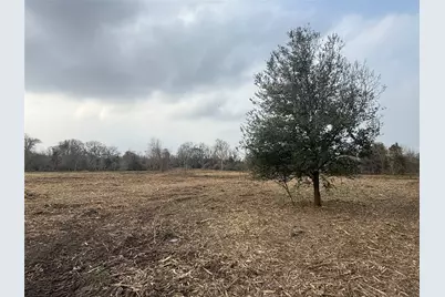Lot 10 County Road 30, Angleton, TX 77515 - Photo 1