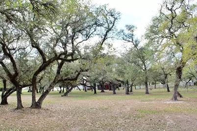 1061 Dee Allen Road, Columbus, TX 78934 - Photo 19