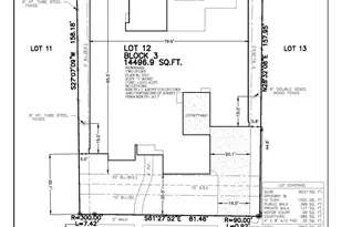 22415 Tansy Mustard Ln, Cypress, TX 77433 - Photo 3