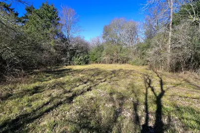 5.003 Acres Winding Meadow Drive, Bedias, TX 77831 - Photo 7