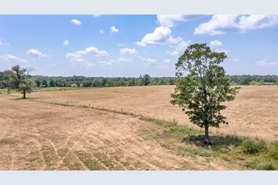 Tbd Fm 2022, Crockett, TX 75835 - Photo 15