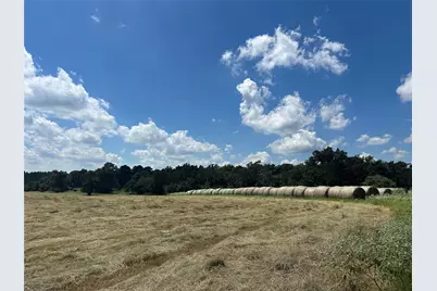 3260 Cr 282, Buffalo, TX 75831 - Photo 43