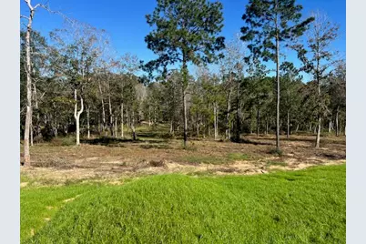 Tdb Lot 29 Addison Rd, Livingston, TX 77351 - Photo 1