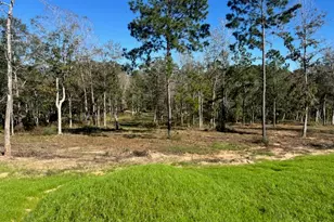 Tdb Lot 29 Addison Rd, Livingston, TX 77351 - Photo 1