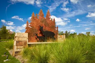 313 Fields Ln, Montgomery, TX 77316 - Photo 19