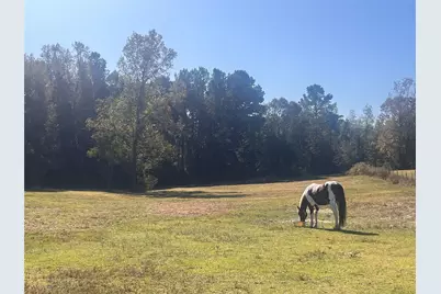 9953 Chestnut Court, Montgomery, TX 77316 - Photo 3