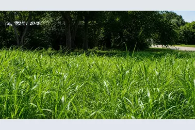 Lot 5 SW Blk 1st Avenue, Waelder, TX 78959 - Photo 3