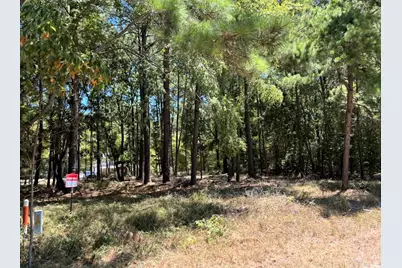 0 Willowick Lane, Livingston, TX 77351 - Photo 3