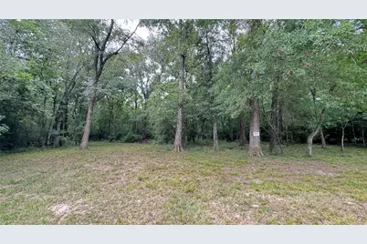 Tbd Hwy 321, East Side, Dayton, TX 77535 - Photo 9