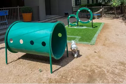 3333 Weslayan Street #2446, Houston, TX 77027 - Photo 5