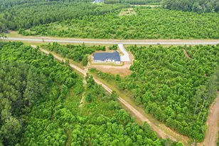 16140 Frst Ml Rd, Willis, TX 77378 - Photo 47