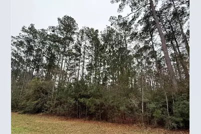 10213 S Autumn Leaf Circle, Magnolia, TX 77354 - Photo 3