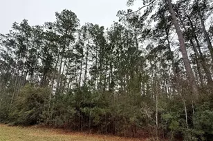 10213 S Autumn Leaf Cir, Magnolia, TX 77354 - Photo 3