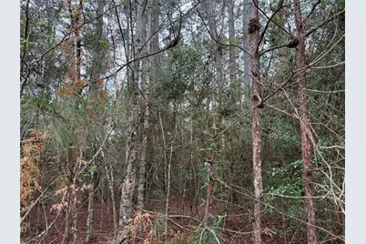 10213 S Autumn Leaf Circle, Magnolia, TX 77354 - Photo 9