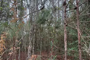 10213 S Autumn Leaf Cir, Magnolia, TX 77354 - Photo 9