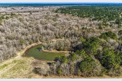 5280 Whitaker Way, Anderson, TX 77830 - Photo 3