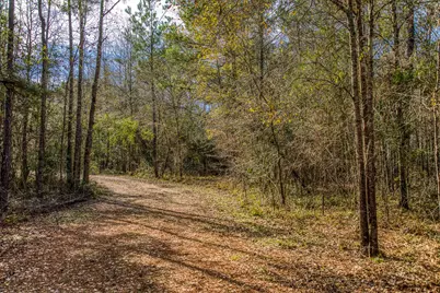 5280 Whitaker Way, Anderson, TX 77830 - Photo 7