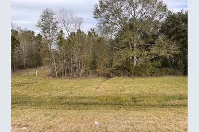 283 County Road 2247, Cleveland, TX 77327 - Photo 3