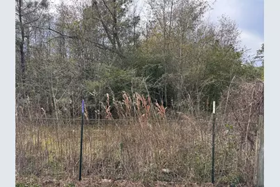 283 County Road 2247, Cleveland, TX 77327 - Photo 7