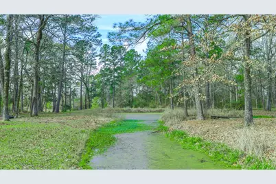 9139 N State Highway 94, Groveton, TX 75845 - Photo 9