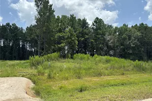 9056 Rd 5503, Cleveland, TX 77327 - Photo 1