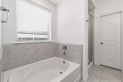 141 Emory Birch Drive, Montgomery, TX 77316 - Photo 19