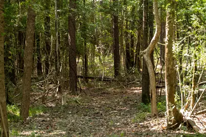 000 US Hwy 190, Woodville, TX 75979 - Photo 13