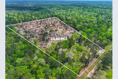 120 Royce Lane, Livingston, TX 77351 - Photo 13