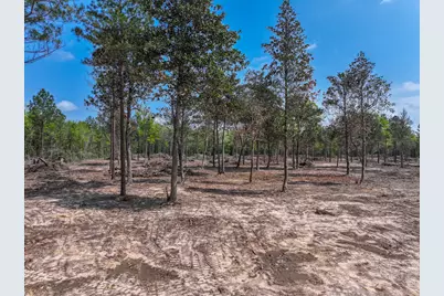 120 Royce Lane, Livingston, TX 77351 - Photo 3