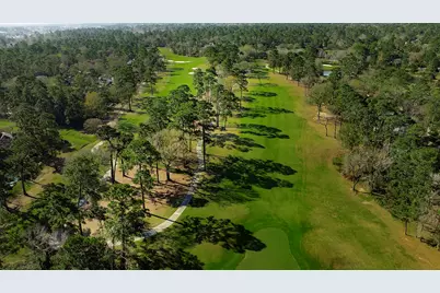 2 Box Turtle Lane, The Woodlands, TX 77380 - Photo 9