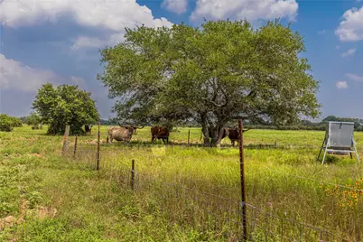 Tract 3 County Road 106, Columbus, TX 78934 - Photo 7