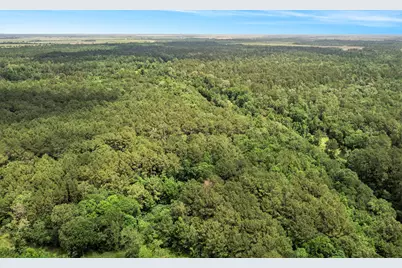 0000 Humphrey, Anahuac, TX 77514 - Photo 5