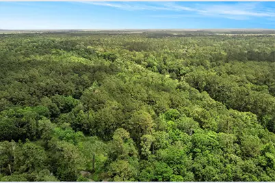 0000 Humphrey, Anahuac, TX 77514 - Photo 9