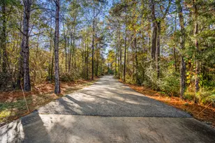 120 Ebner Lake Front Dr, Montgomery, TX 77316 - Photo 45