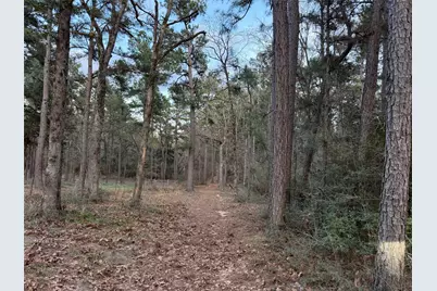 5772 Pr 2065, Centerville, TX 75833 - Photo 7