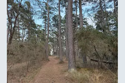 5772 Pr 2065, Centerville, TX 75833 - Photo 9